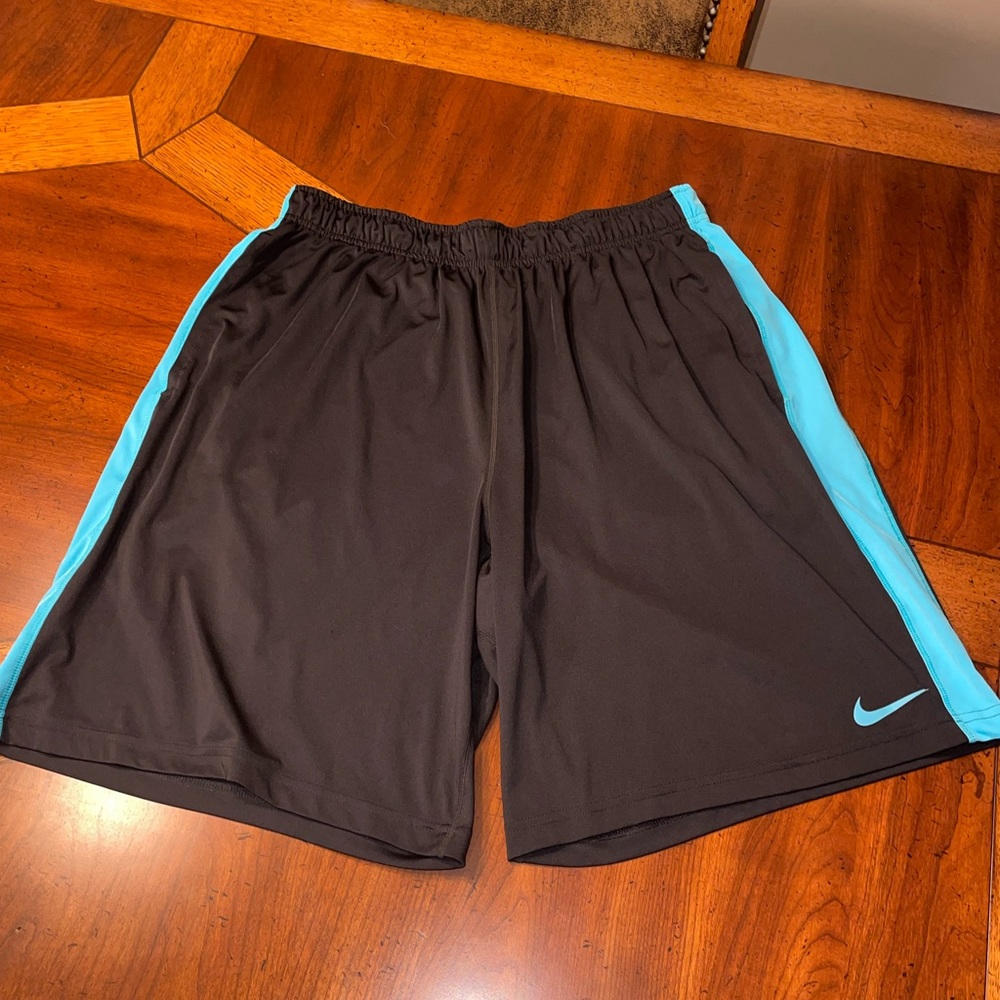 Nike Dry Fit two tone shorts